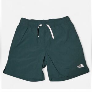 The North Face Men's Teal Athletic Shorts